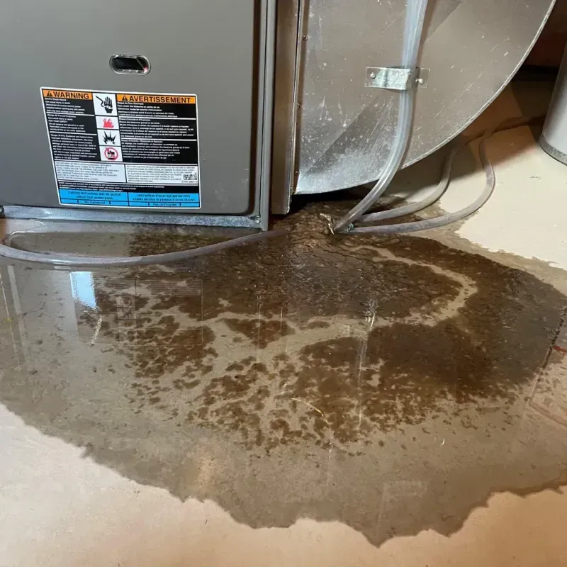 Appliance Leak Cleanup in West Union, WV